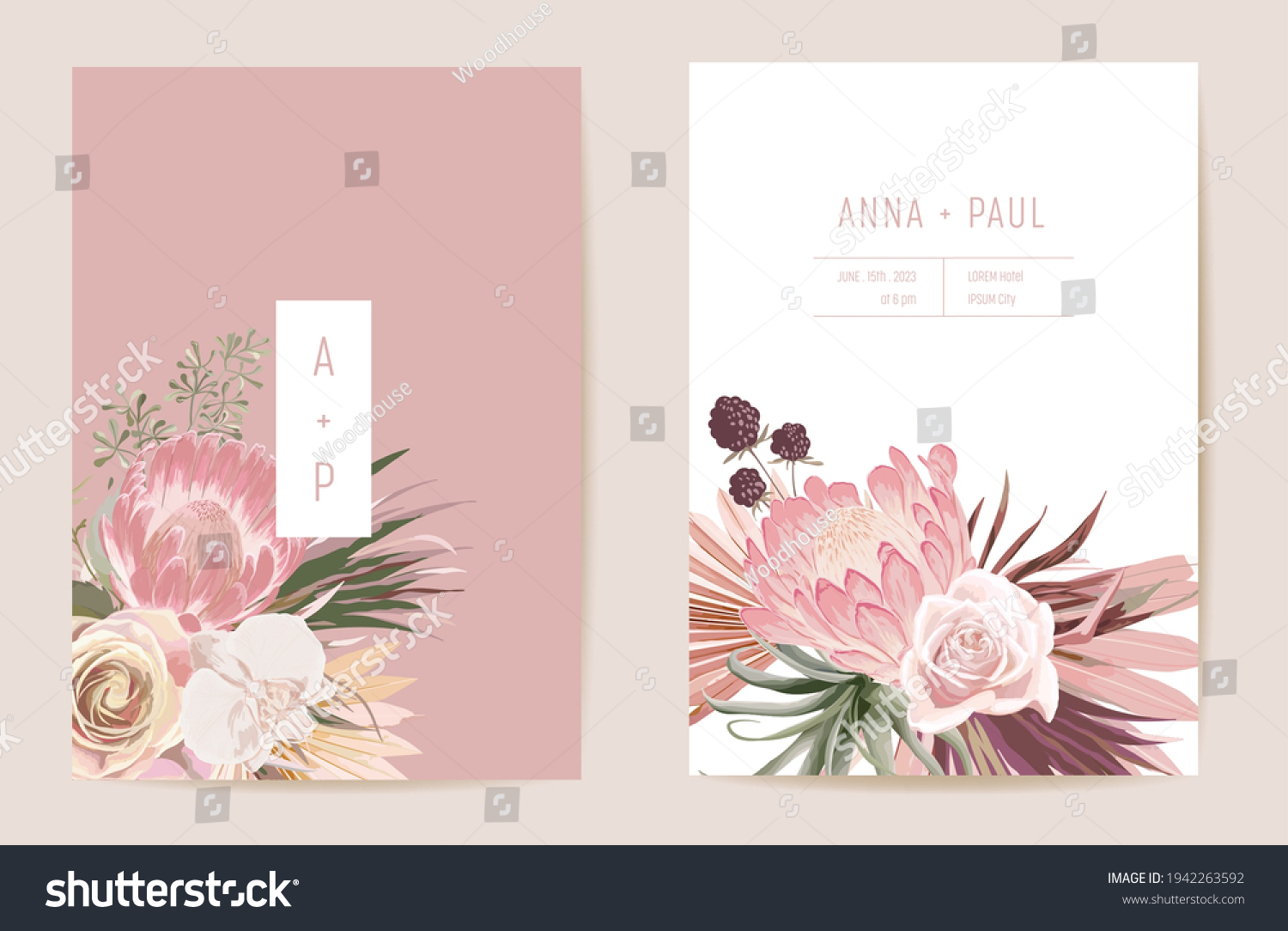 Wedding Dried Protea Orchid Pampas Grass Stock Vector Royalty Free