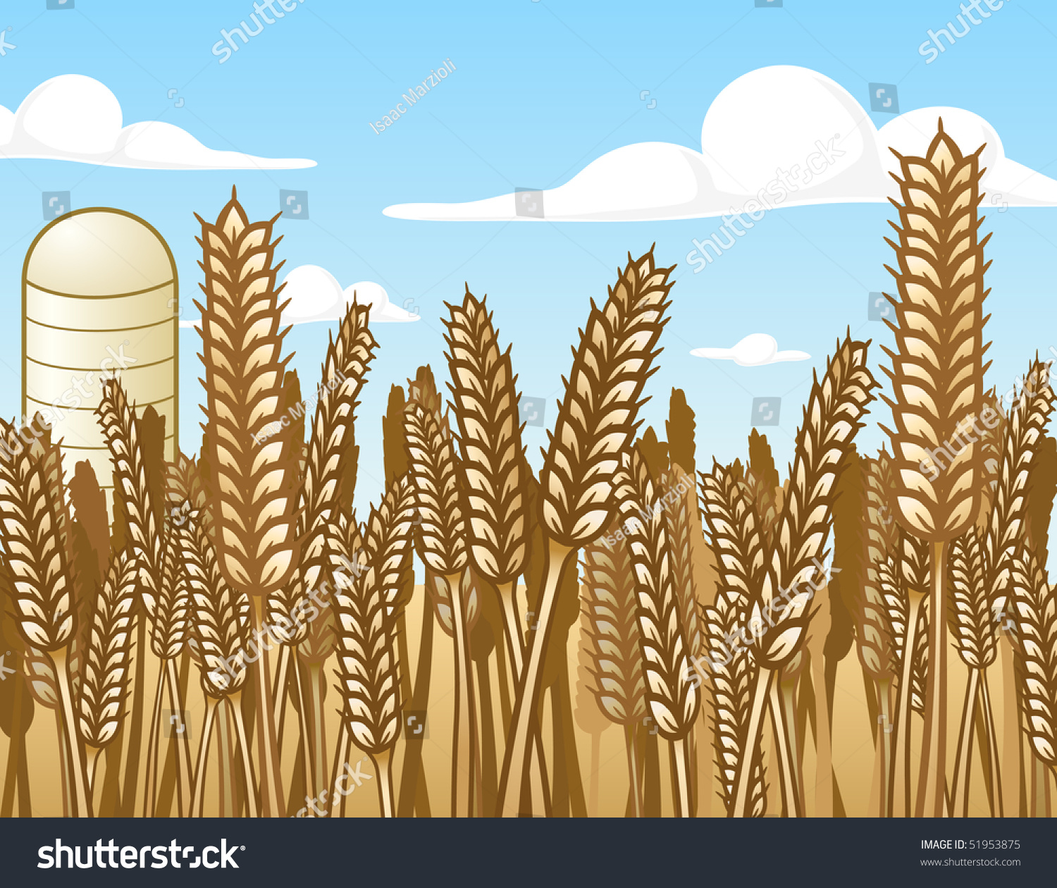 Wheat Field - Vector Illustration - 51953875 : Shutterstock