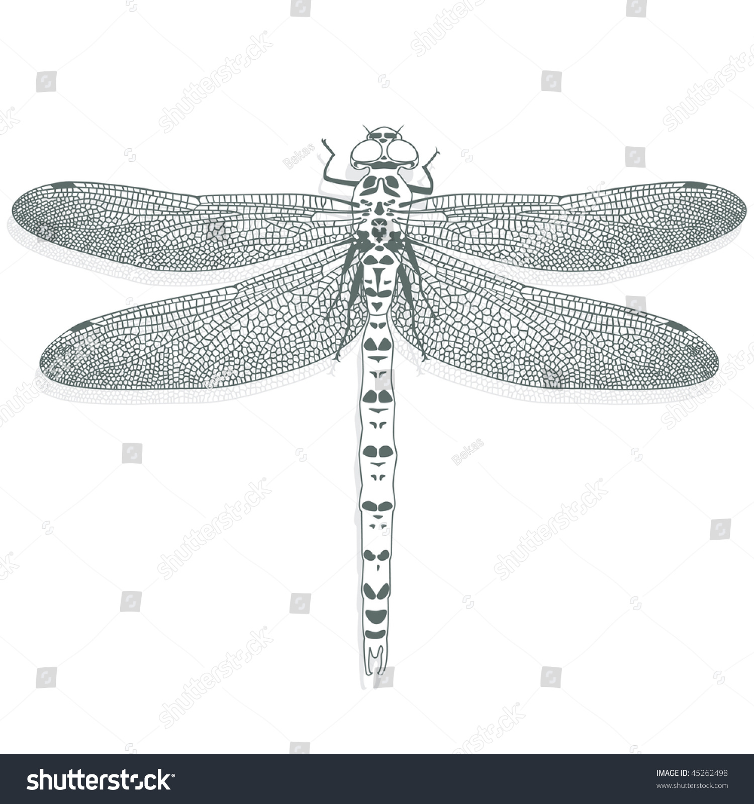 White Dragonfly On A White Background Stock Vector Illustration