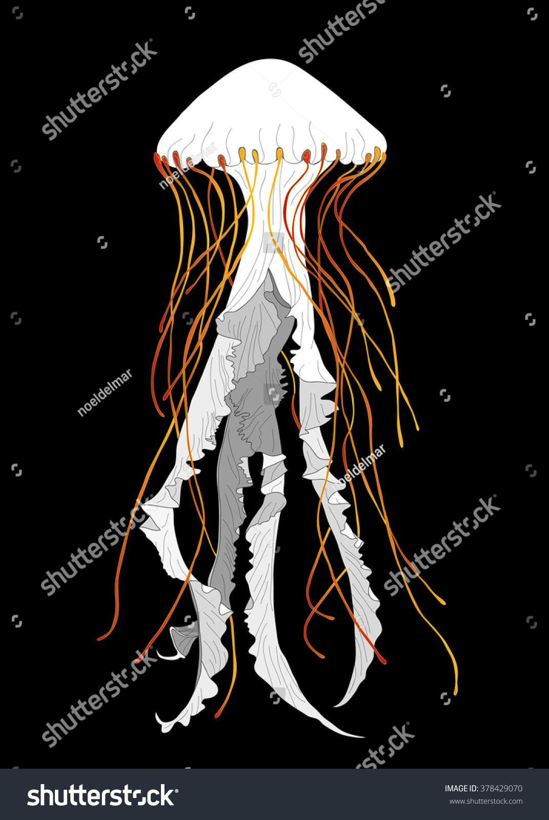 White Jellyfish Illustration Poster Stock Vector Royalty Free