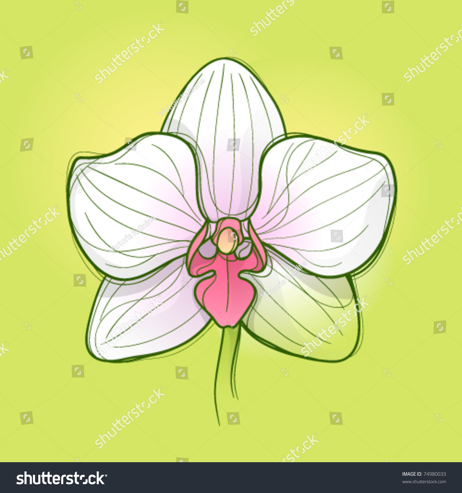 White Orchid Clipart