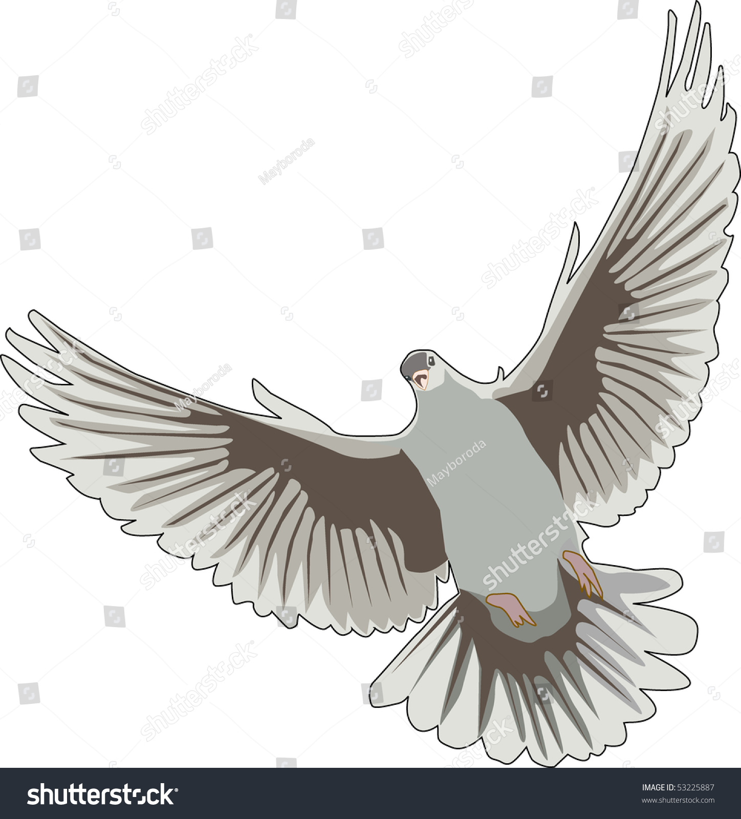 White Pigeon Stock Vector Illustration 53225887 : Shutterstock