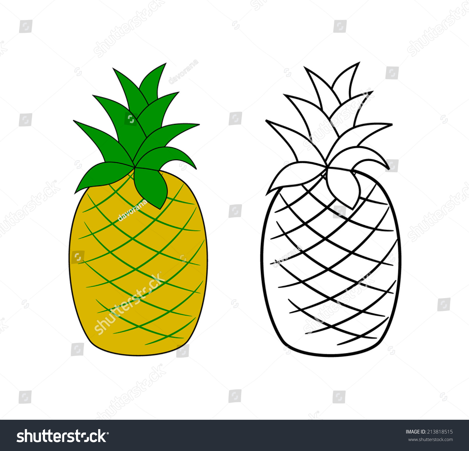 Pineapple Green Paint Pineapple Green Paint