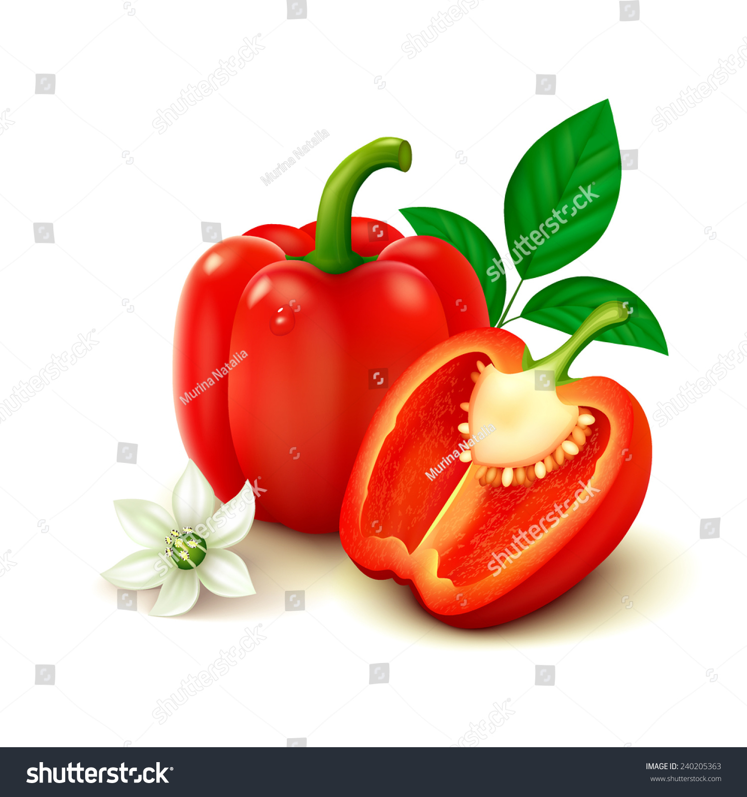Red Bell Pepper Deutsch Red Bell Pepper Deutsch