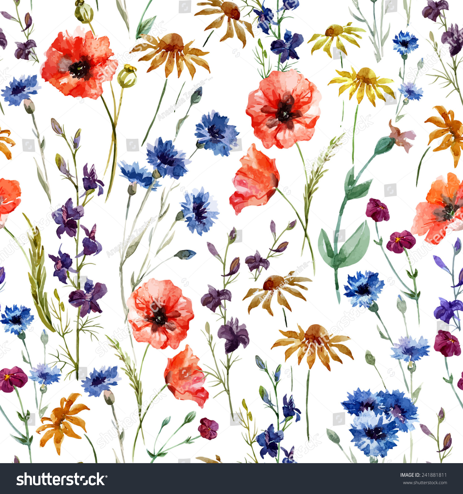 Wildflowers, Watercolor, Poppy, Cornflower, Chamomile, Background Stock