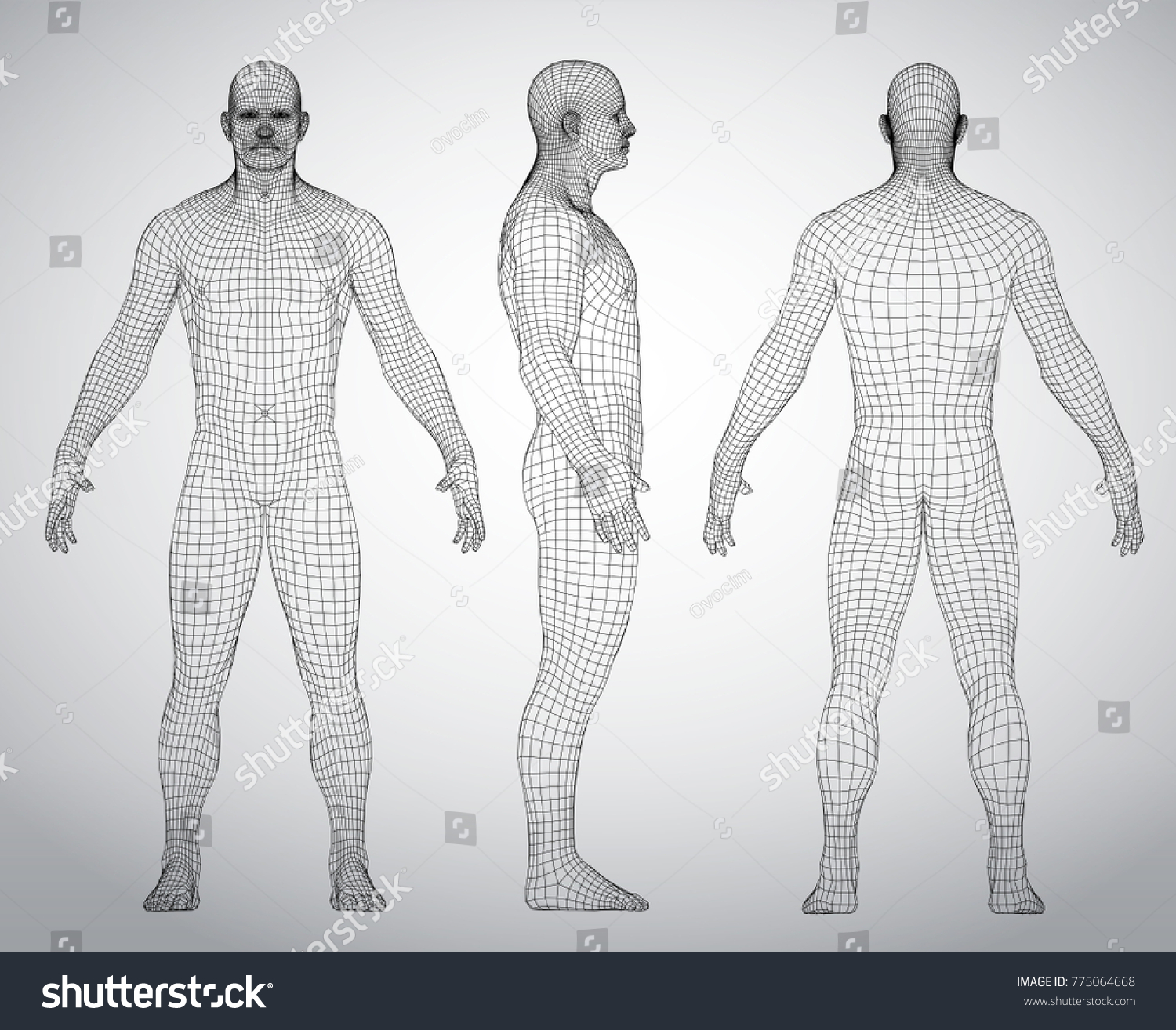 Enfoque De Alambre Cuerpo Completo Humano Vector De Stock Libre De