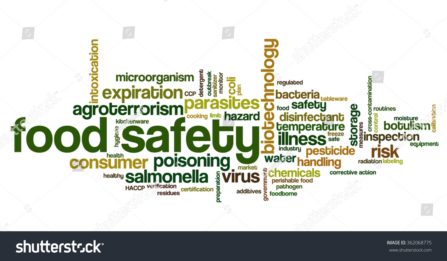 word-cloud-concept-containing-words-related-stock-vector-362068775-shutterstock