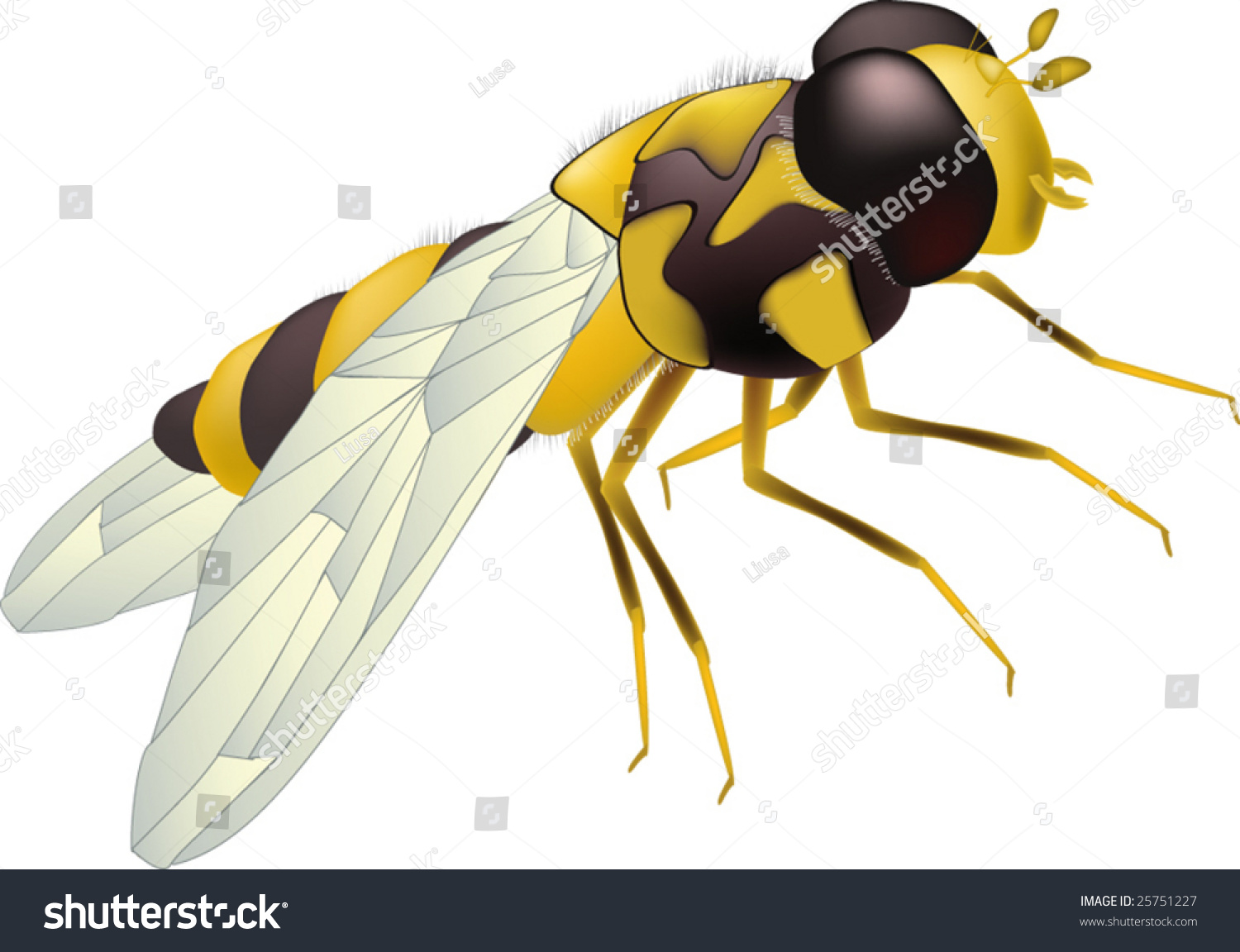 Yellow Bee Stock Vector Illustration 25751227 : Shutterstock