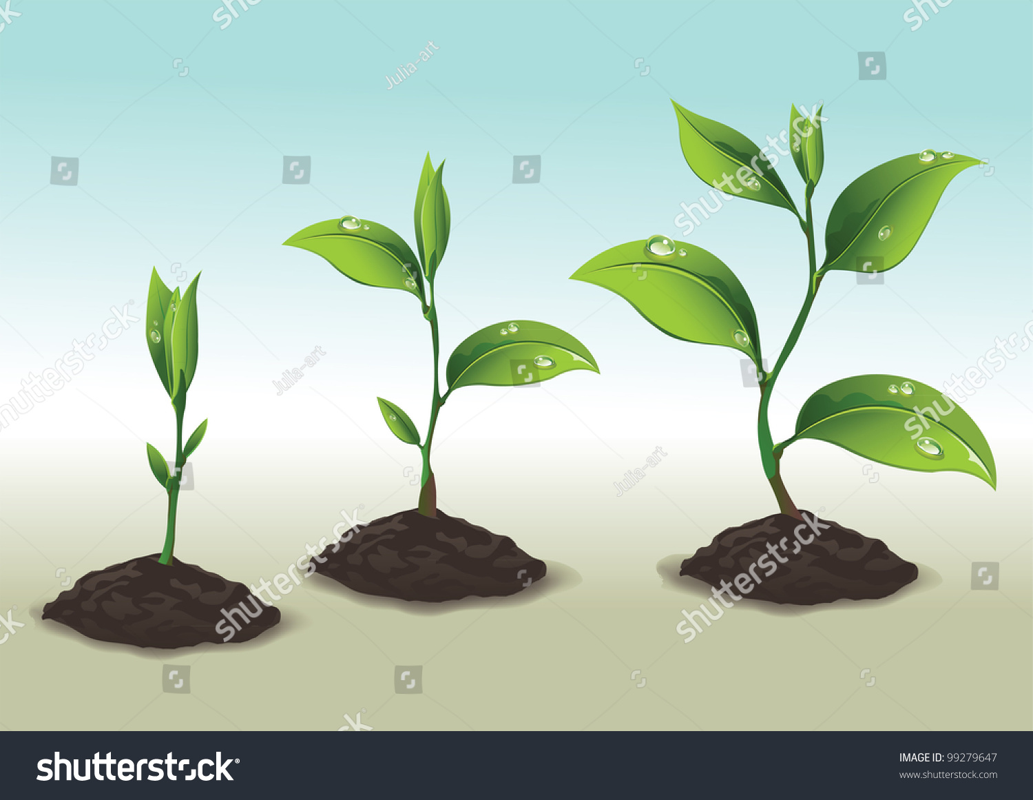 young-plant-life-process-stock-vector-illustration-99279647-shutterstock