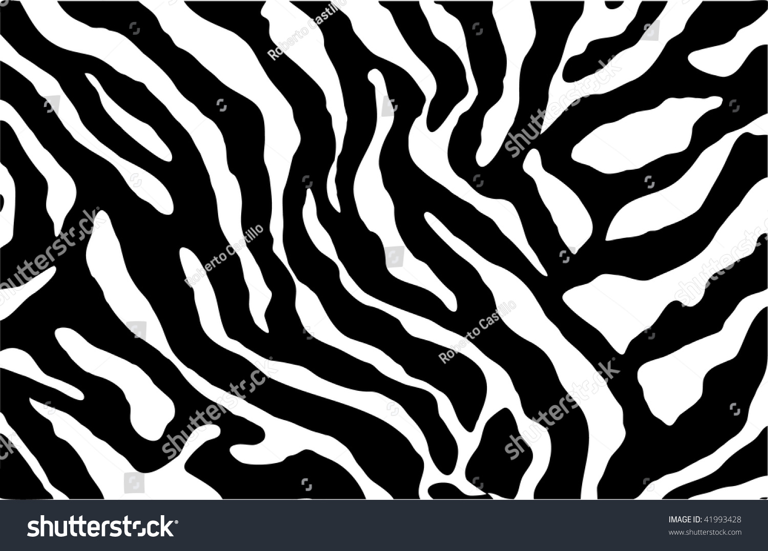 Zebra Pattern Stock Vector Illustration 41993428 : Shutterstock