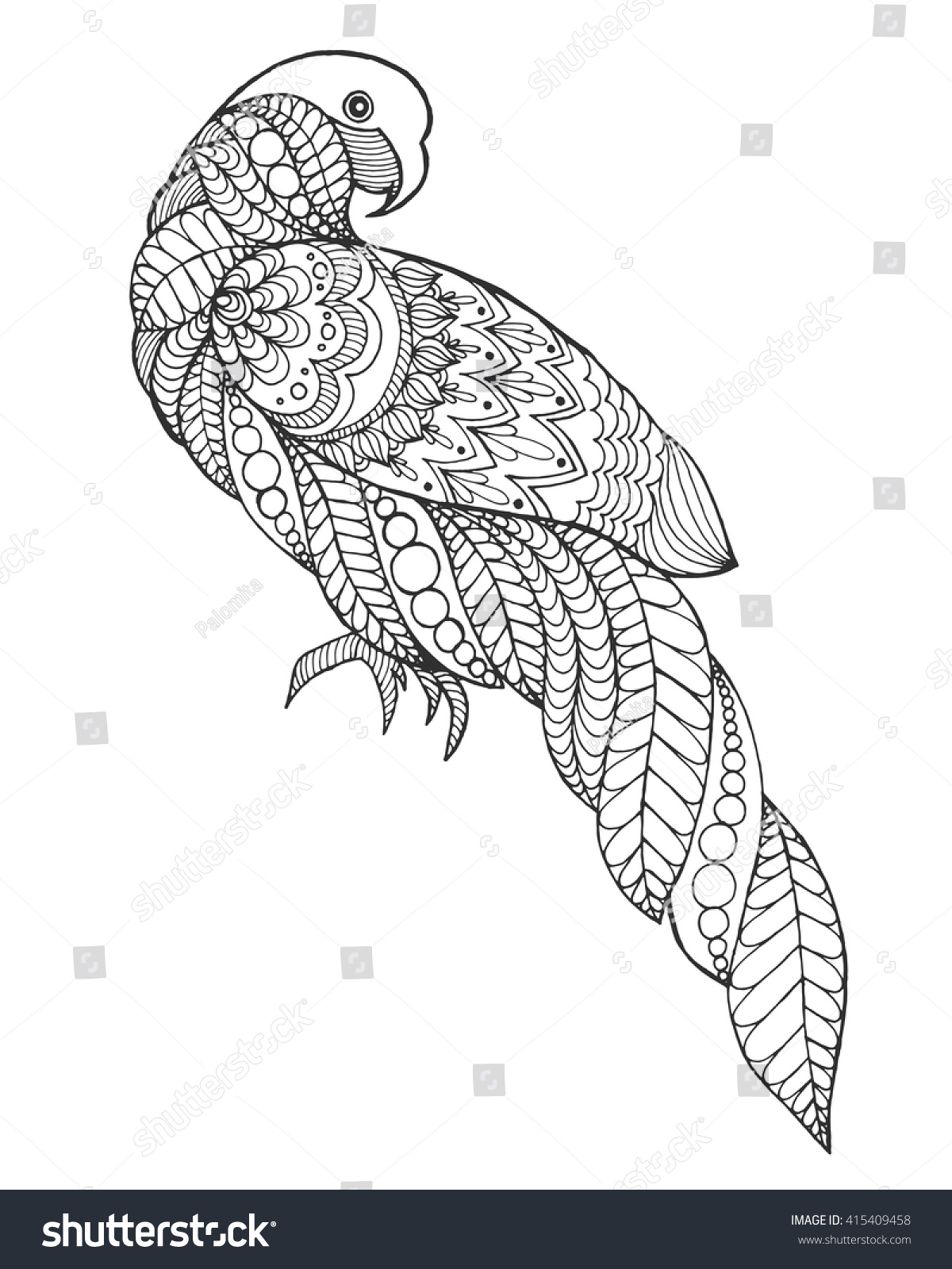 Zentangle Stylized Parrot Bird Black White Stock Vector Royalty Free