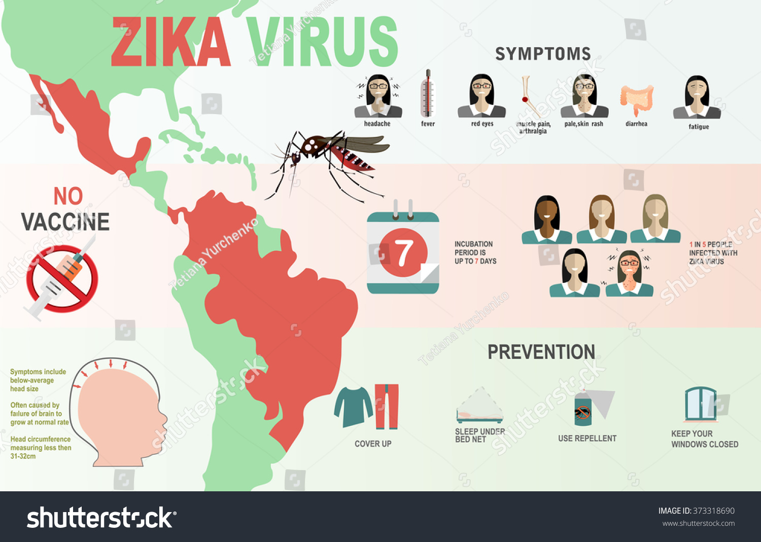 Zika Virus Infographic Elements Prevention Transmission Vaccine