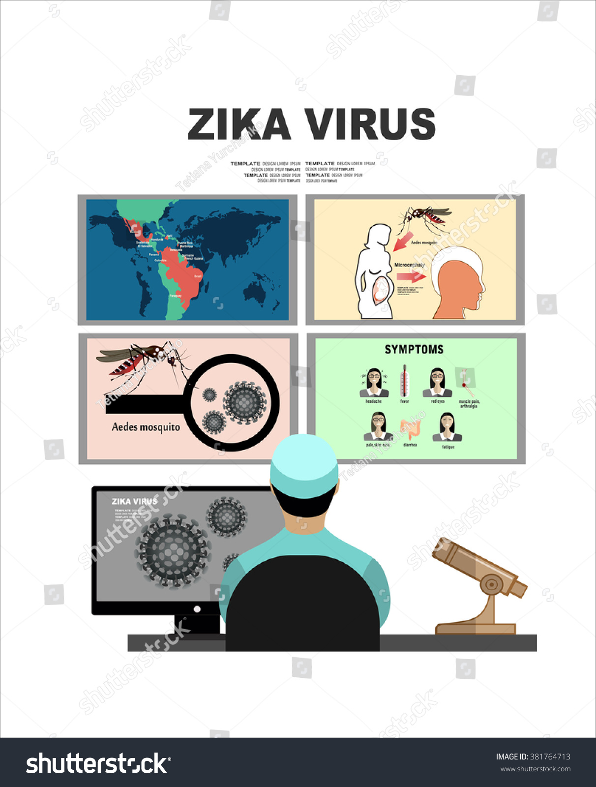 Zika Virus Infographic Elements Prevention Transmission Stock Vector