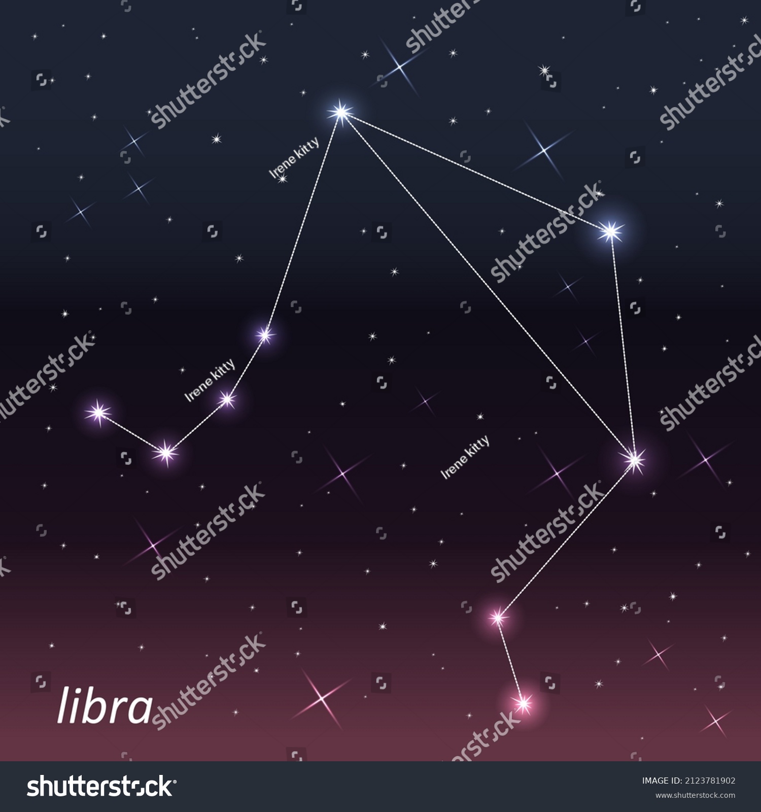 Zodiac Signs Night Sky Western Zodiac Stock Vector Royalty Free