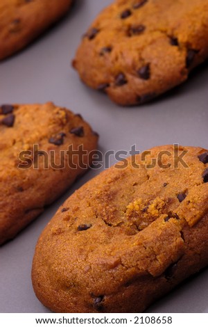 Close-up of fresh warm cookies on a baking sheet, straight out of the oven.