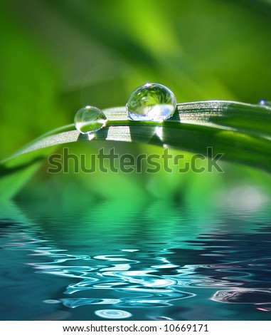 Similar – Image, Stock Photo Blue leaf with raindrops on the forest floor