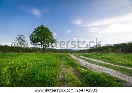 Beautiful landscape. Nature of western Ukraine. Tree on the field on a background of dramatic cloudy sky
