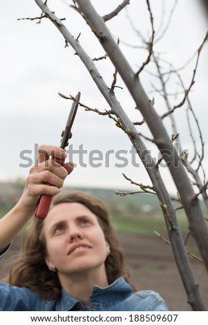 Happy gardener woman using pruning scissors in orchard garden. Pretty female worker portrait with pruners