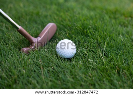 golf ball lying on the grass next to the stick, close of putter and ball