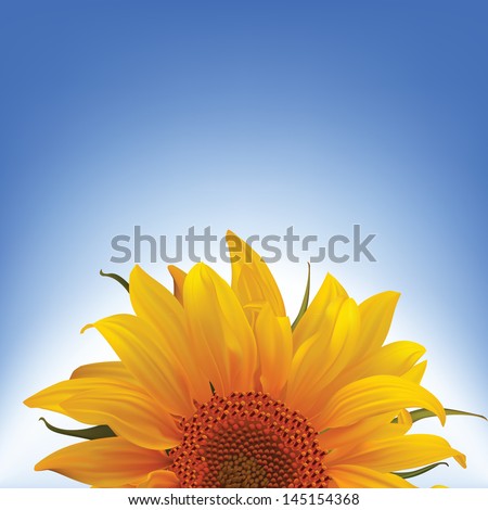 vector illustration yellow bright sunflower flower against the background summer blue sky natural beautiful flora