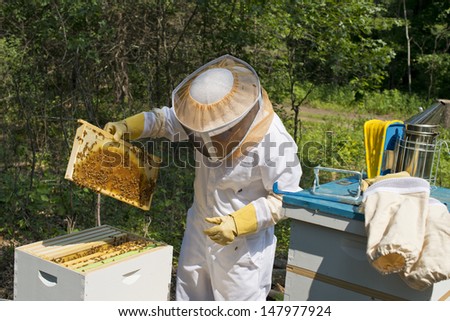Checking Beehives