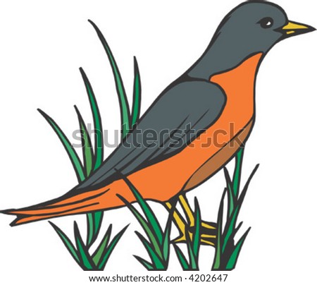 Amercan Robin clip art Free Vector / 4Vector