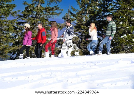 happy young people group have fun and enjoy fresh snow at beauti