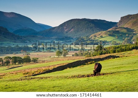 Rural scenic landscape, Lake District, UK