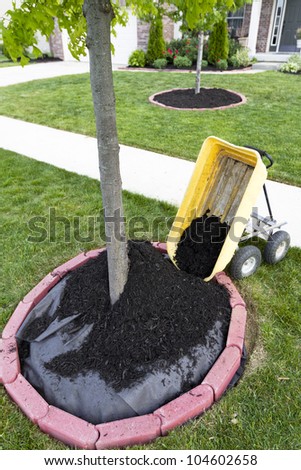 Dumping Mulch around the trees and shrubs, yard maintenance is fun. Weed barriers are very useful.