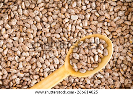 Close up Plenty of Rich in Fiber and Fat Free Brown Pinto Beans with Wooden Spoon. Used for Wallpaper Backgrounds.
