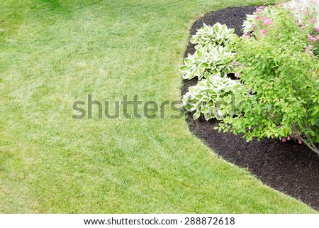 Mulched flowerbed with decorative hosta plants cultivated for their ornamental foliage in a neatly manicured green lawn in a formal landscaped garden viewed high angle