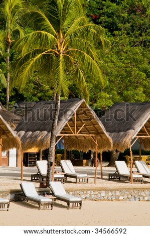 Exotic Tropical Beach Beds at Sea Shore