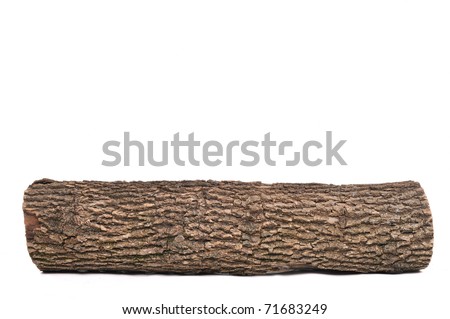 Close-Up Of Isolated Stub Log With Wooden Texture Stock Photo 71683249 ...