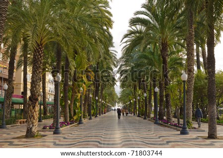 Similar – Image, Stock Photo Tree-lined path off Street