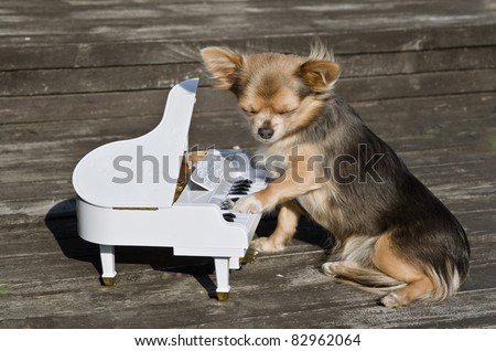 Similar – Image, Stock Photo Small stage with grand piano in a ruin
