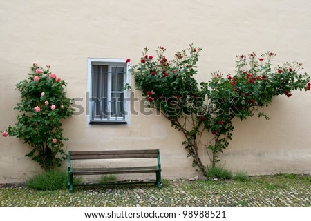 Roses, window and bench, Bavaria, Germany