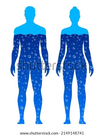 Male and female body silhouette, filled with blue water, isolated on white background. Human body water composition vector illustration.