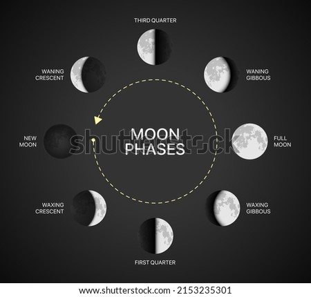 Moon phases chart vector illustration. Moon light rotation infographic on a black background.