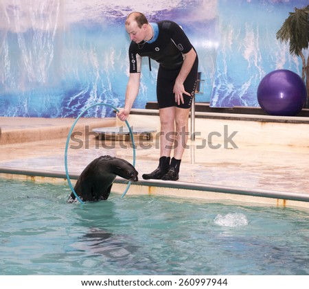 RUSSIA, ROSTOV-ON-DON- FEBRUARY 1- Sea lion jumping through a hoop in the hands of the trainer in the Rostov dolphinarium , dolphins - under water on February 1, 2015 in Rostov-on-Don
