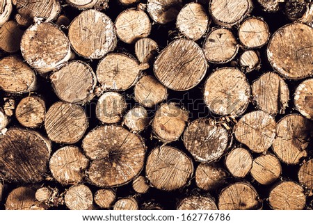 Firewood Background logs stacked up in a wood pile