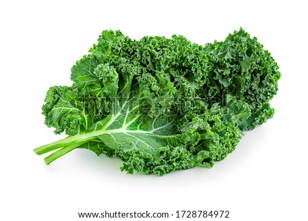 Kale leaf salad vegetable isolated  on white background. Creative layout made of kale closeup. Flat lay. Food concept. Foto stock © 