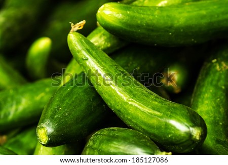 Fresh green cucumber collection on market close up.  Cucumber  background. Food background.