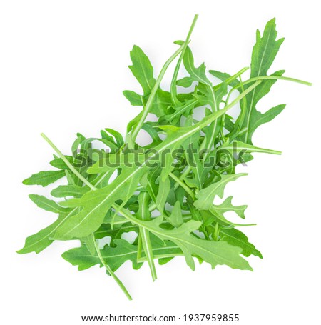 Fresh Rucola leaves isolated on white background. Rocket salad or arugula 商業照片 © 