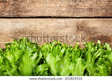 Fresh green salad over wooden background - healthy or vegetarian food concept. Lettuce Salad background with copyspace.