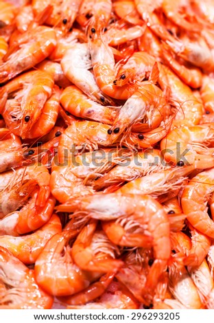 Unshelled tiger shrimps as gourmet seafood macro. Group of Shrimp cocktail background over white Ice close up.