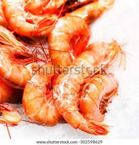 Shrimp cocktail background over white Ice on a market stall close up. Group of Unshelled tiger shrimps