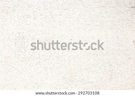 texture of white birch tree background