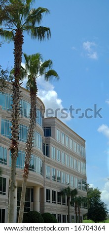 Office and Palms