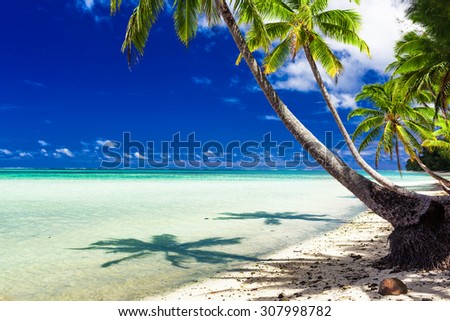 Small beach with palm trees over tropical water at Rarotonga, Cook Islands