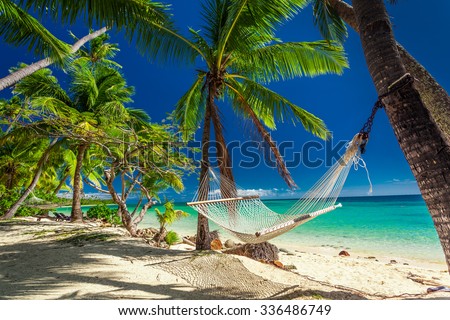 Empty hammock in the shade of palm trees on tropical Fiji Islands Zdjęcia stock © 